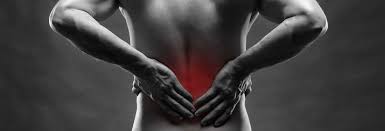 Causes of Back Pain Causes of Back Pain
