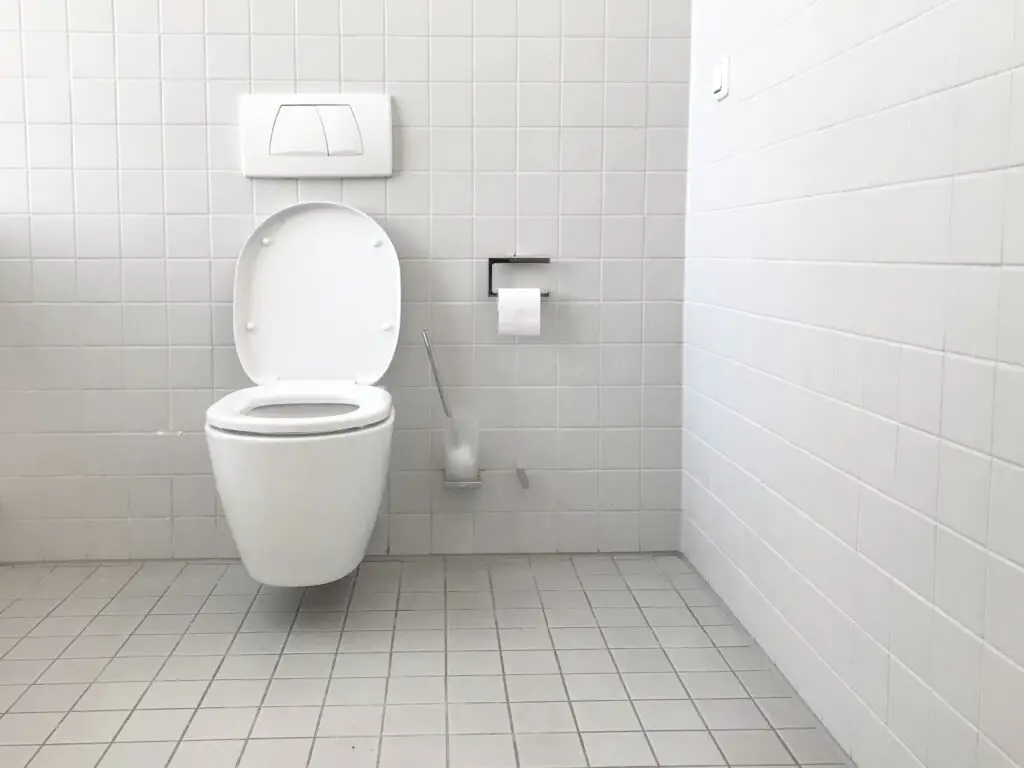 A shot of a toilet seat with toilet paper