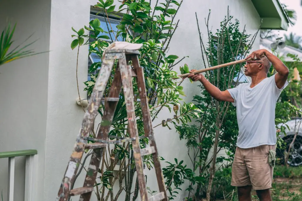 A man painting a wall