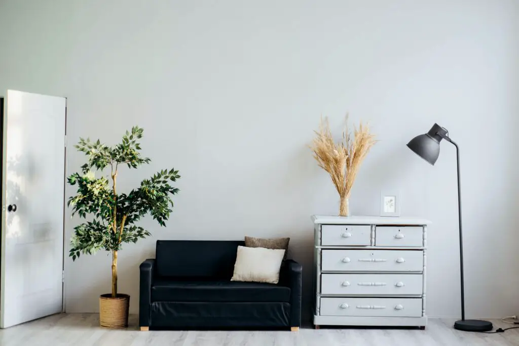 A sofa and a plant with a floor lamp and a cabinet