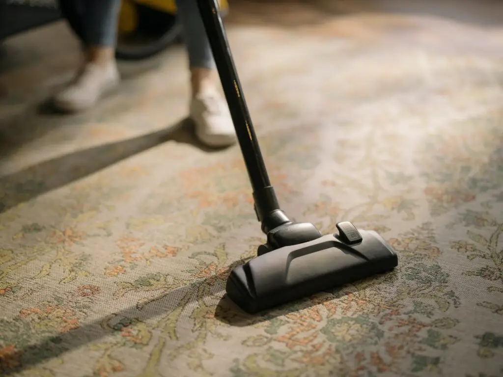 Cleaning the carpet with a vacuum cleaner