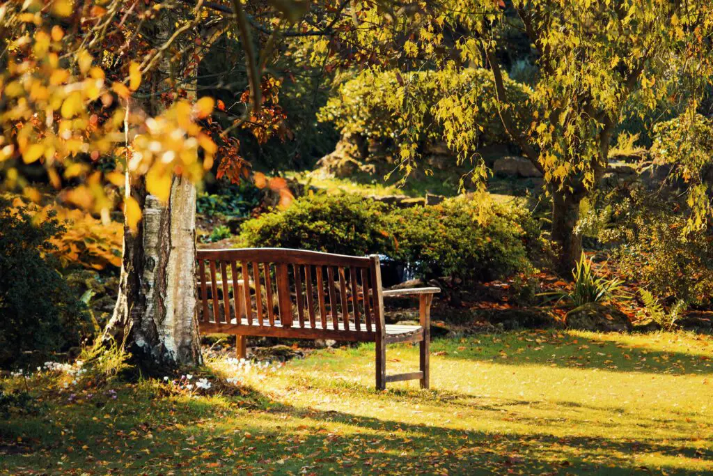 A wooden bench in an open space