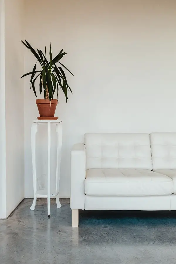 A plant beside a white couch