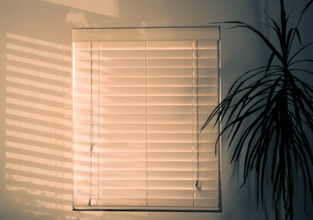 Closed blinds with orange lighting and a plant