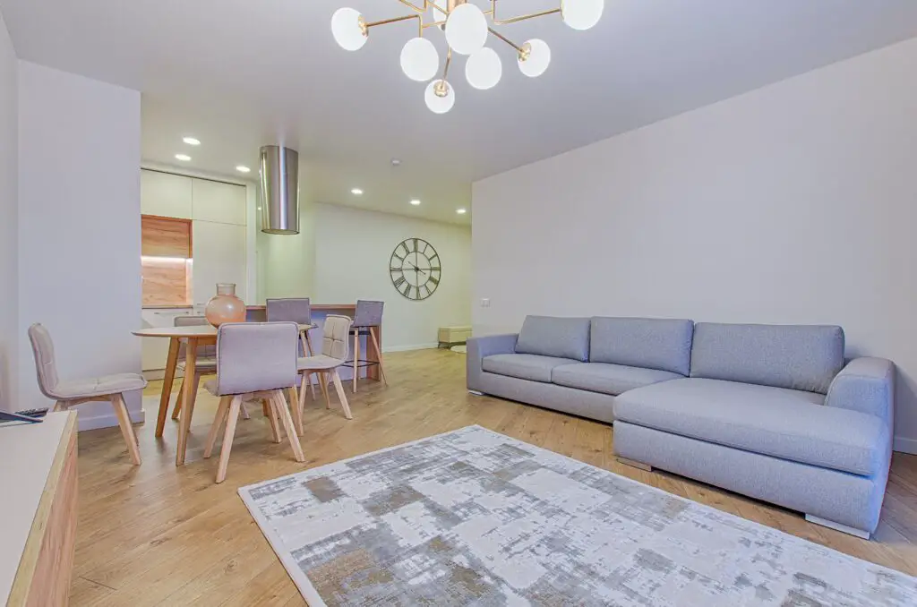 Living room with gray toned furniture