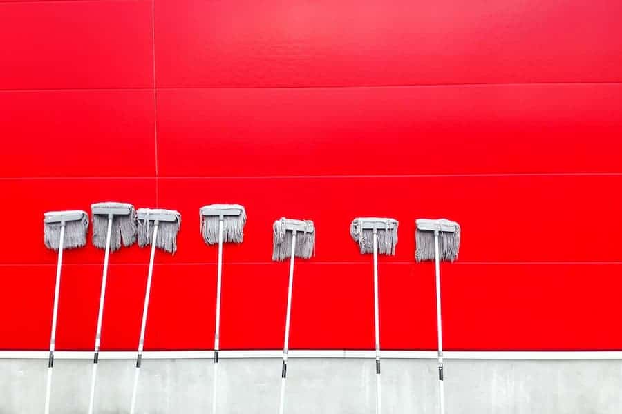 Mops leaning on a red wall