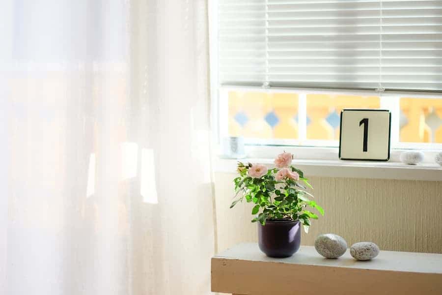 window with white curtain and blinds