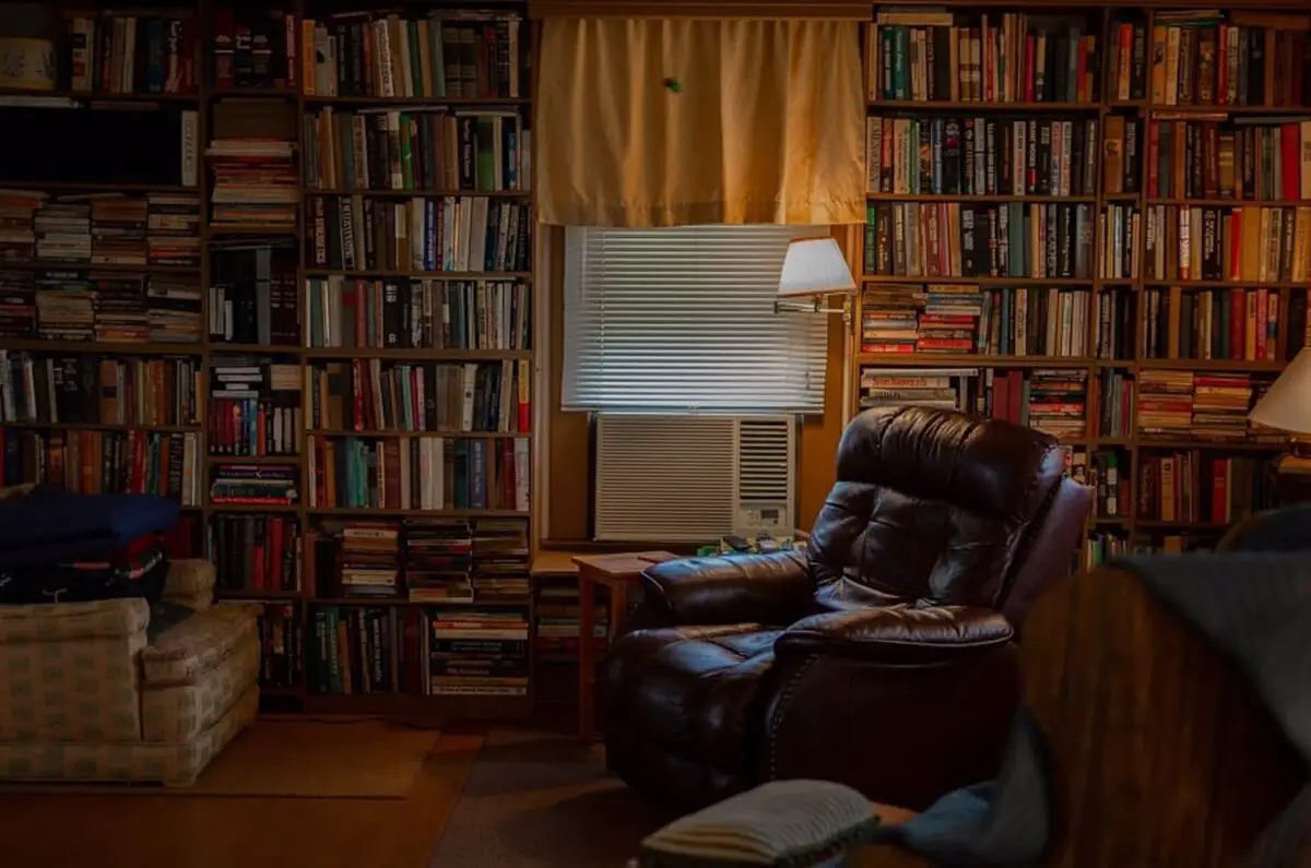 Red leather recliner positioned beside a wooden bookcase overflowing with books