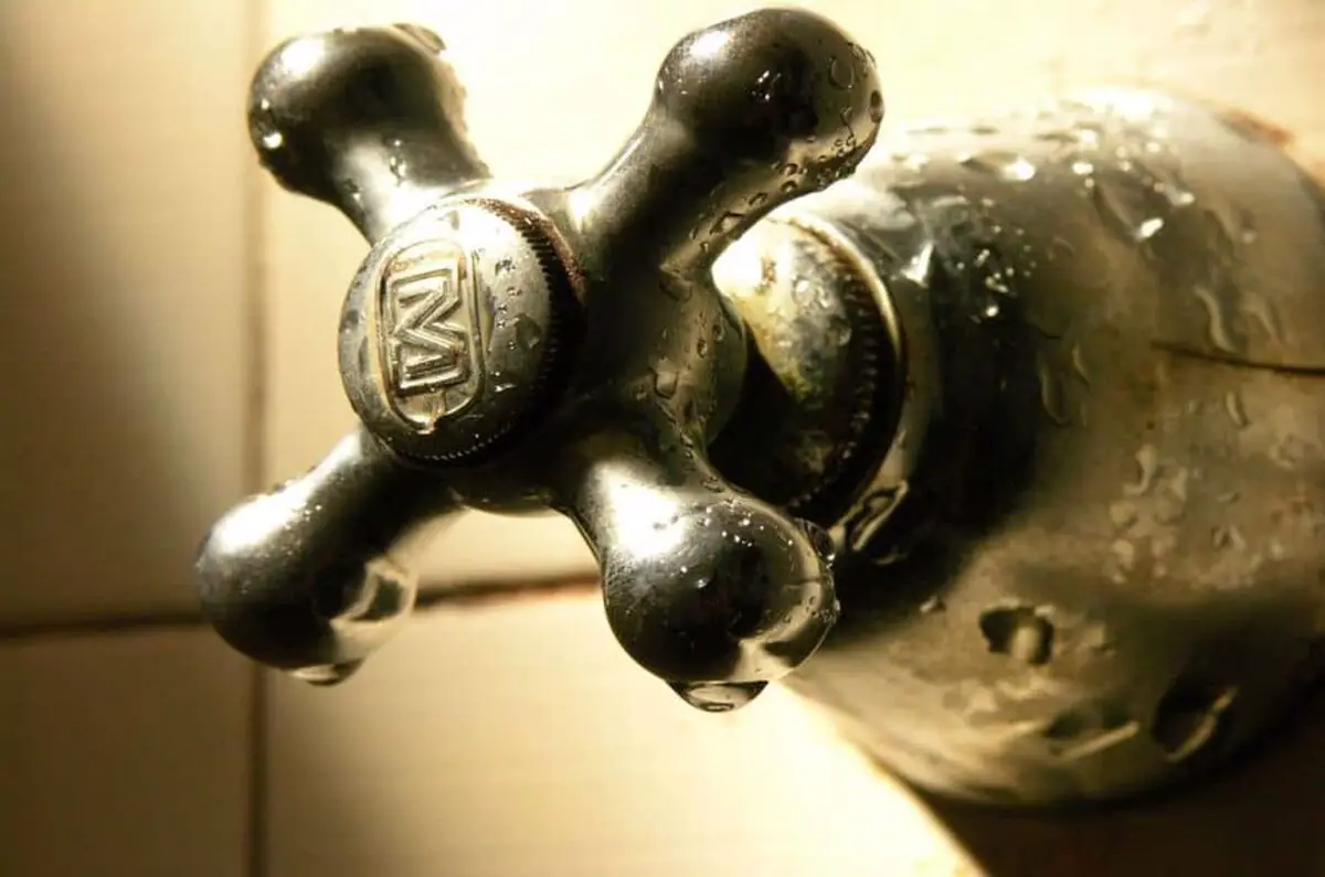 Water glistening on a gold plated shower valve attached on a white tiled shower surface